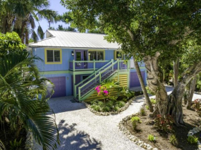 Dancing Dolphin home